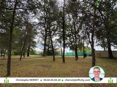 Terrain - 906 m²
