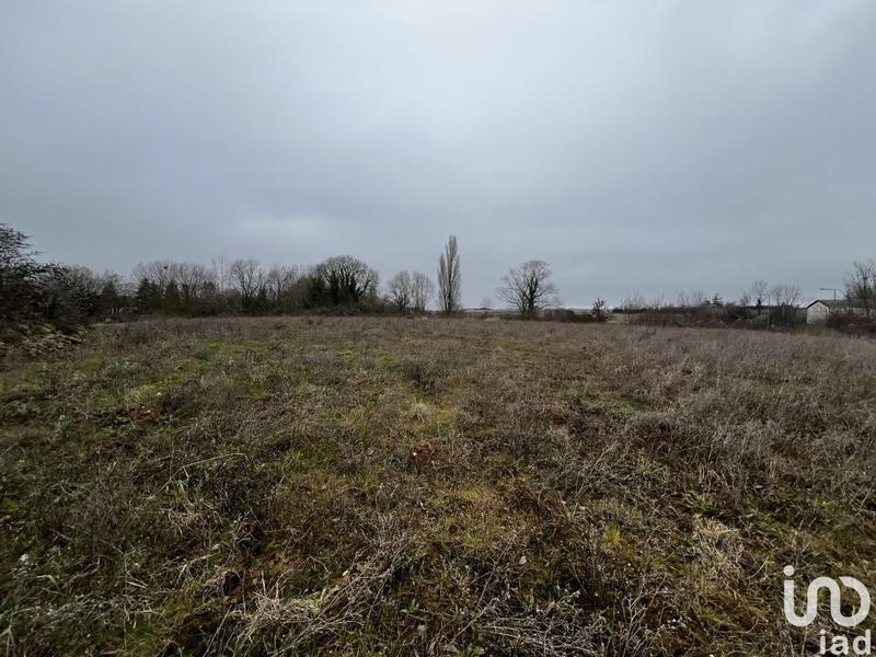 Local commercial - 5 563 m²