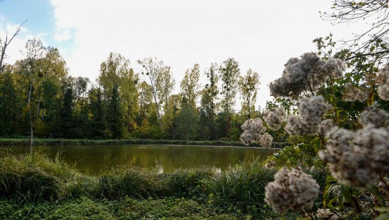 Moulin - 200 m² - 7 pièces