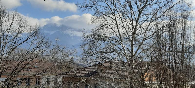 Appartement - 20 m² - 1 pièce