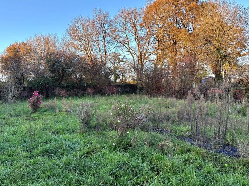 Maison de village - 115 m² - 5 pièces