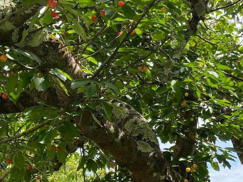 Maison - 96 m² - 5 pièces