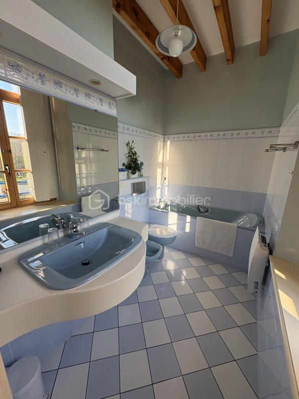 Moulin - 297 m² - 9 pièces