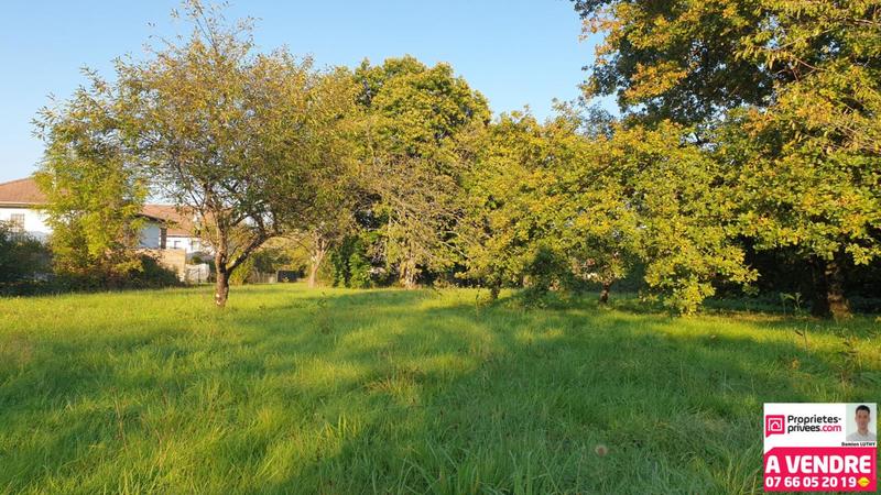 Terrain constructible - 1 450 m²