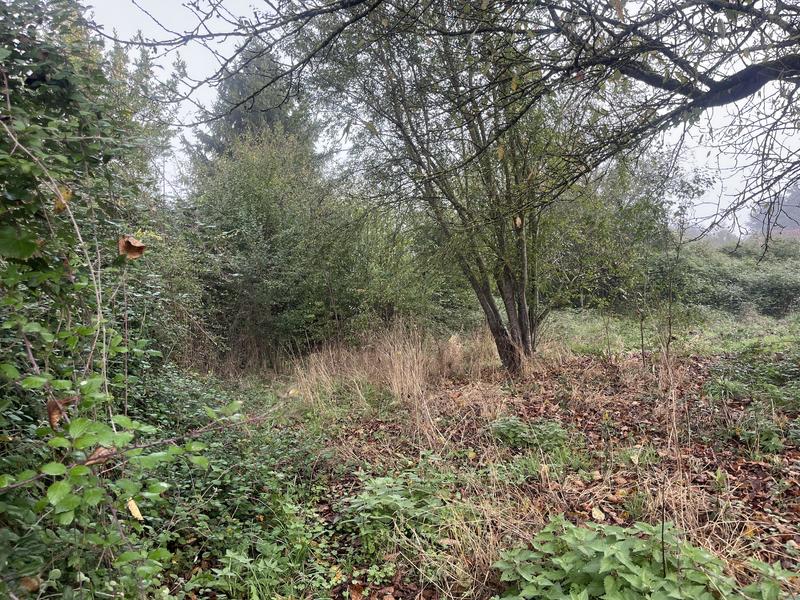 Maison - 75 m² - 3 pièces