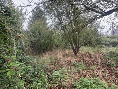 Maison - 75 m² - 3 pièces