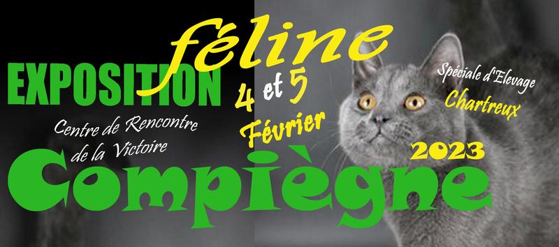 Exposition Féline