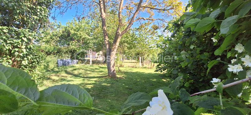 Maison en pierre - 126 m² - 5 pièces