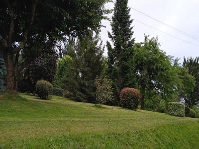 Terrain constructible - 1 740 m²