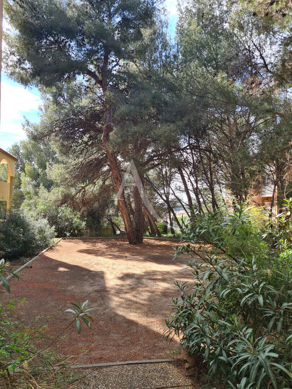 Appartement - 20 m² - 1 pièce