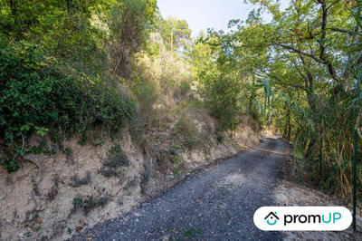 Terrain de loisirs - 2 800 m²