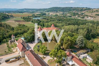 Château - 5 000 m²