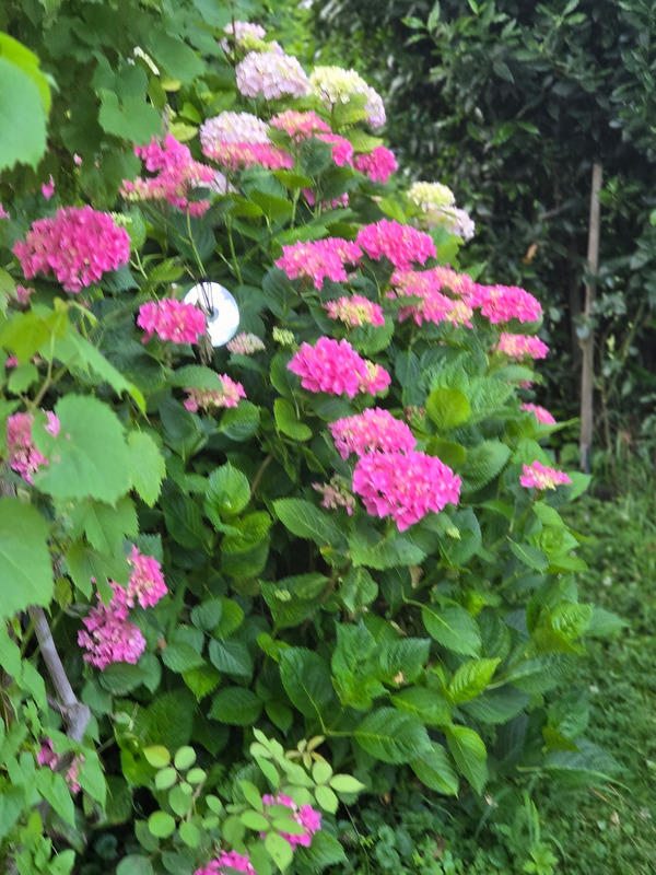 Maison - 87 m² - 3 pièces