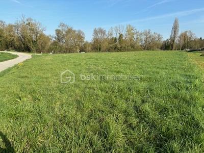 Terrain constructible - 4 500 m²