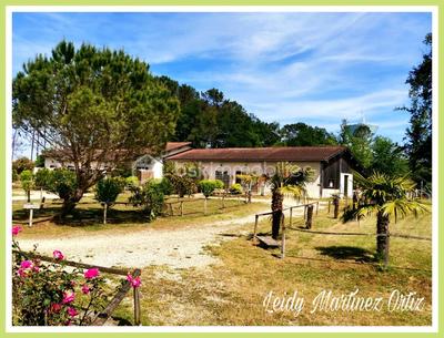 Immeuble - 440 m² - 21 pièces