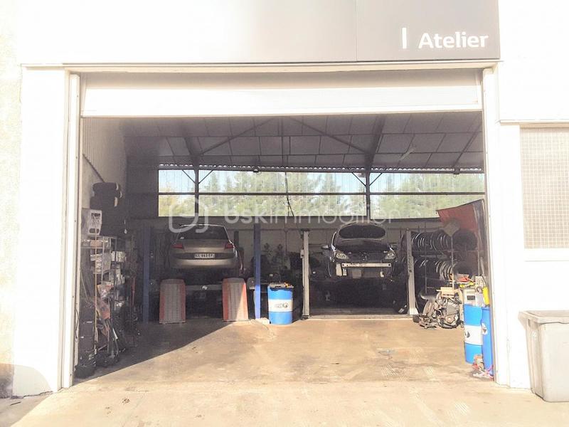 Bureau - 1 690 m² - 8 pièces