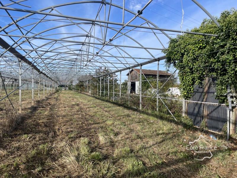 Terrain agricole - 130 000 m²