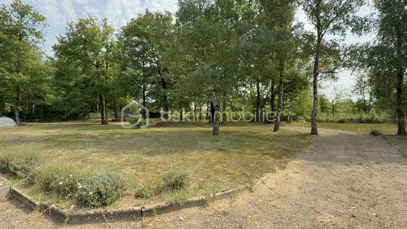 Immeuble - 695 m² - 10 pièces