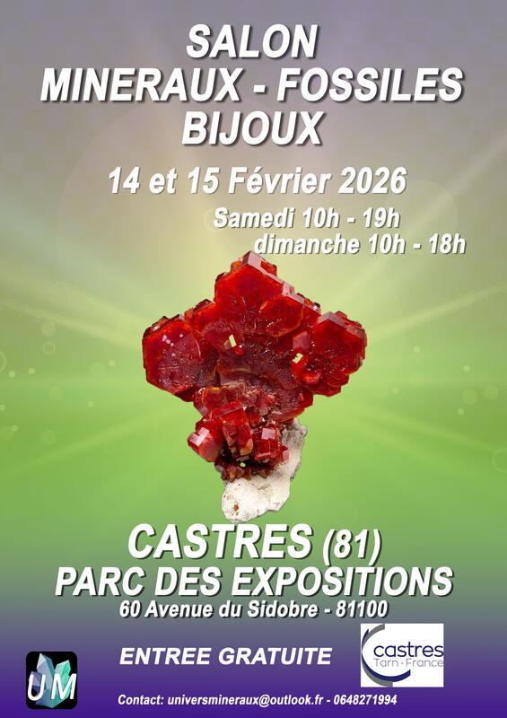 Bourse minéraux, fossiles, bijoux de créateur.