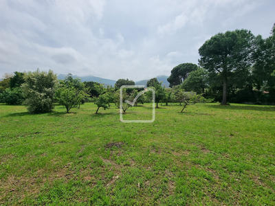Terrain - 1 956 m²