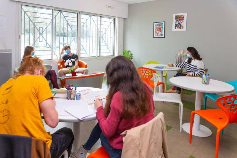 Studio - 14 m² - 1 pièce