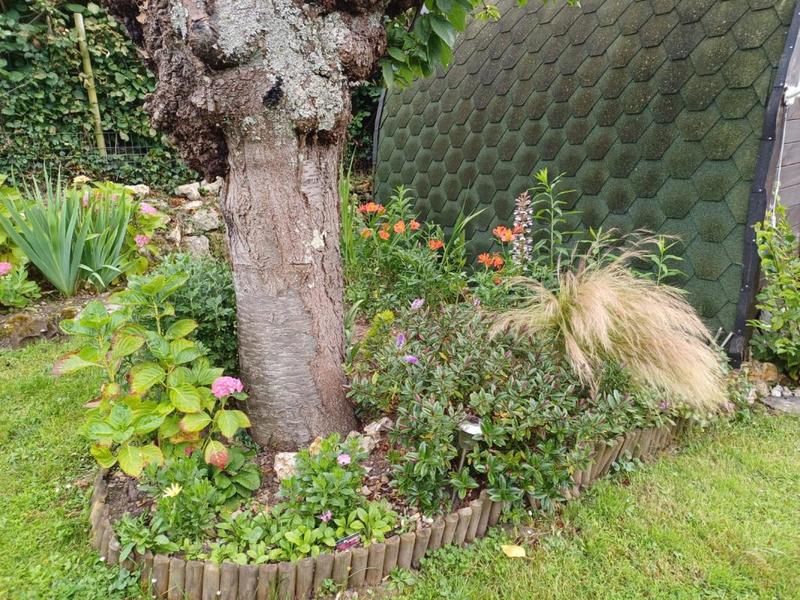 Châlet - 32 m² - 2 pièces