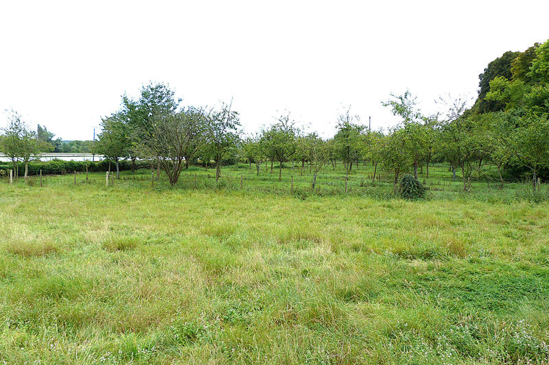 Maison - 124 m² - 5 pièces