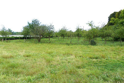 Maison - 124 m² - 5 pièces