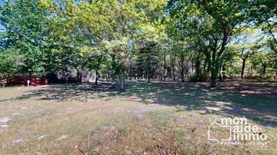 Maison ancienne - 464 m² - 14 pièces