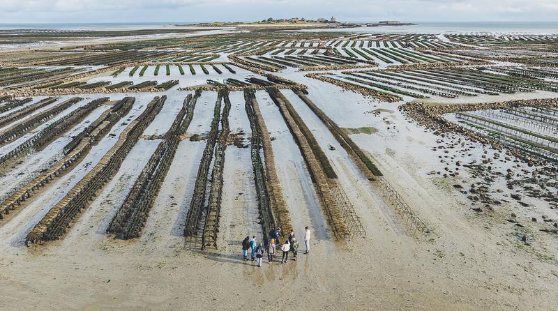 Séjour : Equinoxe, le Cotentin au rythme des grandes marées