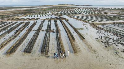 Séjour : Equinoxe, le Cotentin au rythme des grandes marées