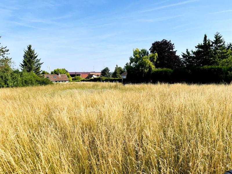 Terrain constructible - 1 420 m²