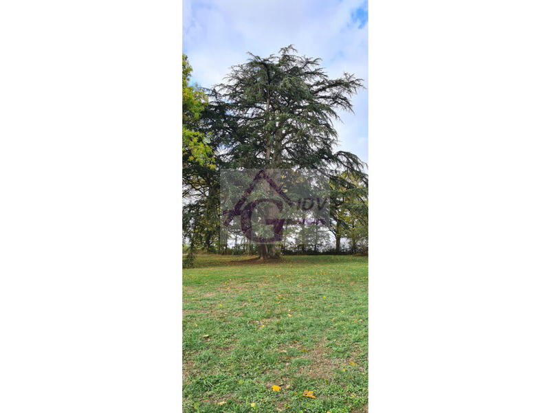 Maison - 1 048 m² - 29 pièces