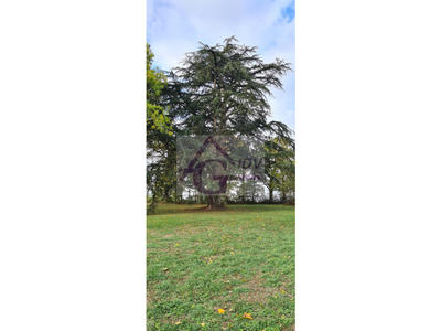 Maison - 1 048 m² - 29 pièces