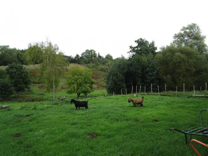 Propriété - 198 m² - 8 pièces