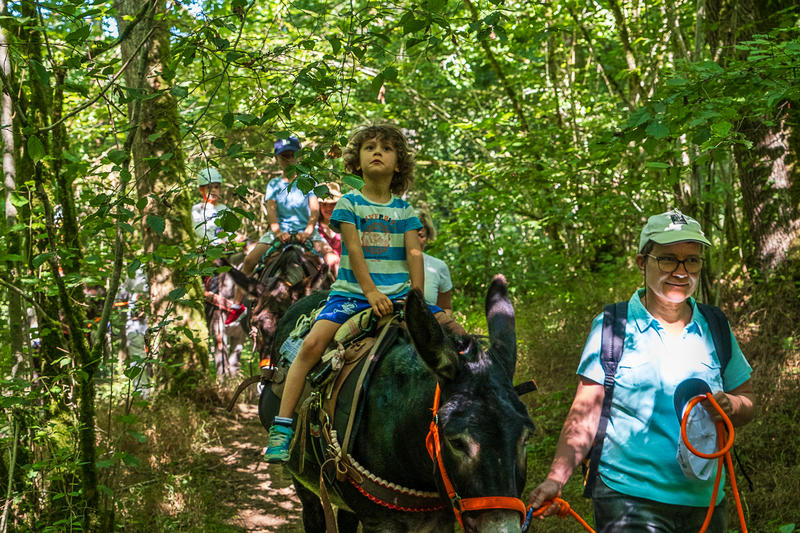 Été actif - balade avec un âne