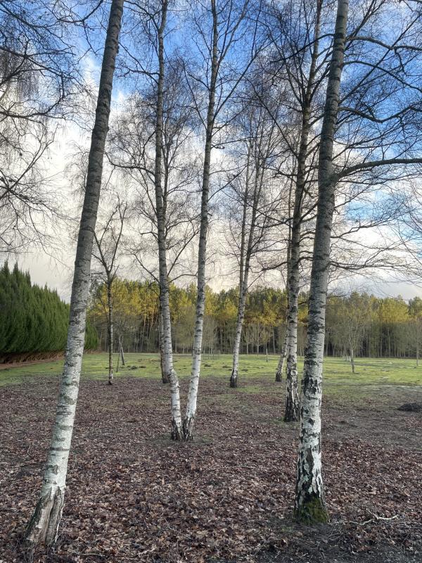 Maison - 138 m² - 5 pièces