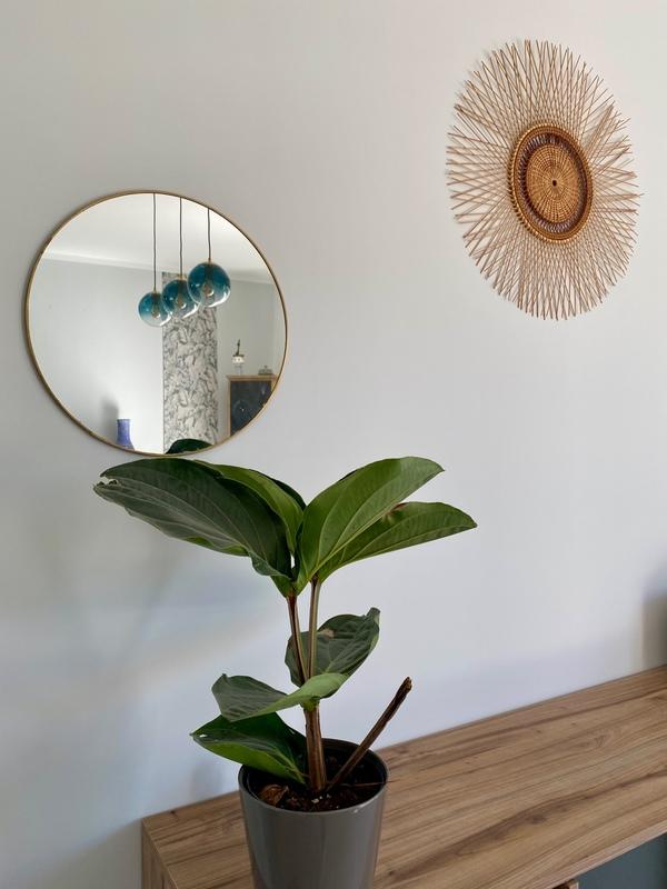 Maison - 175 m² - 7 pièces