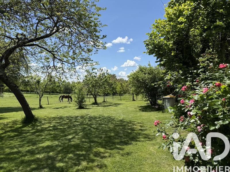 Maison de campagne - 263 m² - 14 pièces