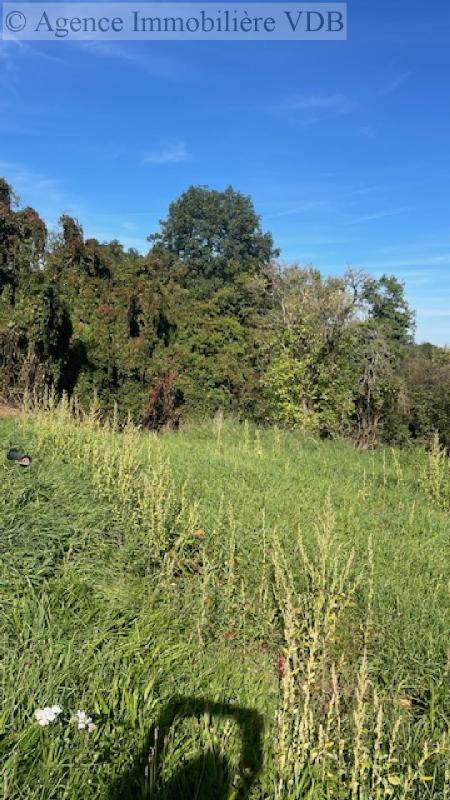 Terrain constructible - 446 m²