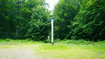 Opération &quot;Forêt propre&quot;