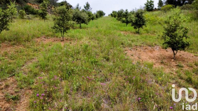 Terrain - 15 645 m²