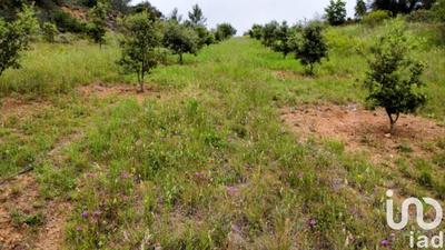 Terrain - 15 645 m²