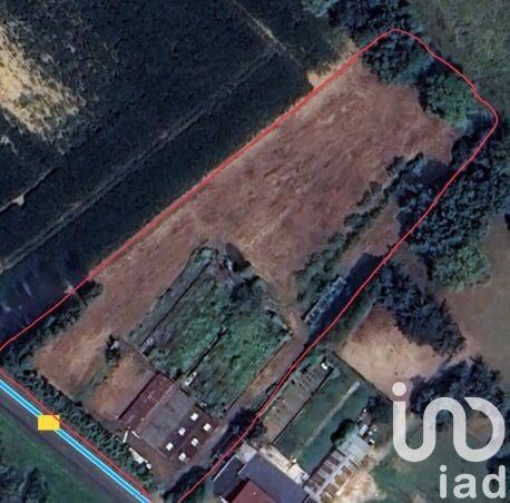 Terrain agricole - 6 925 m²