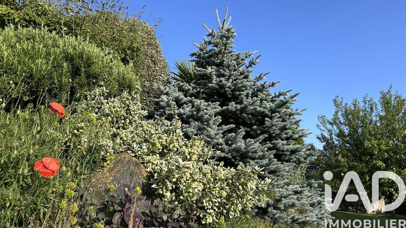 Maison - 217 m² - 8 pièces