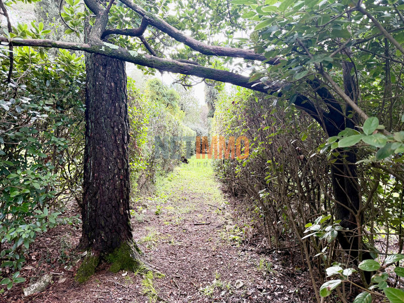 Maison - 60 m² - 2 pièces