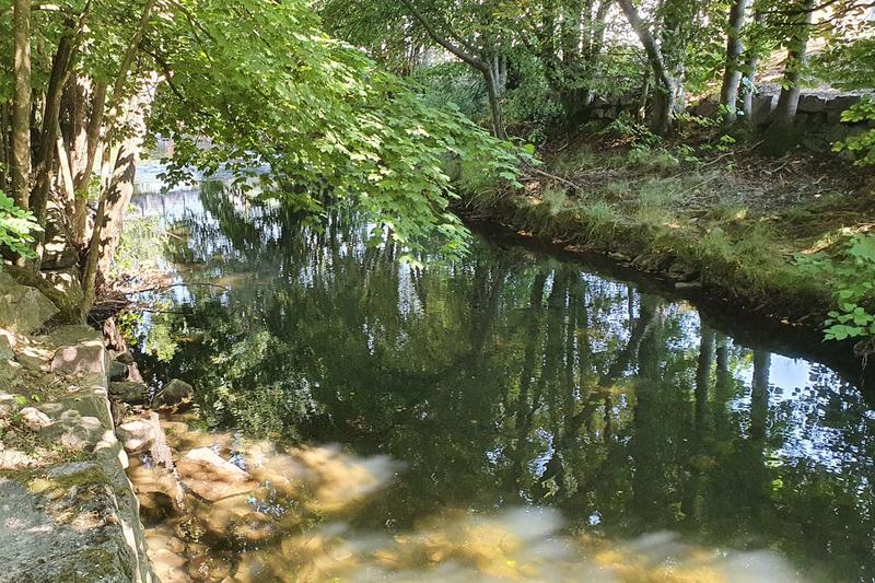 Club Vosgien : Marche douce bien-être