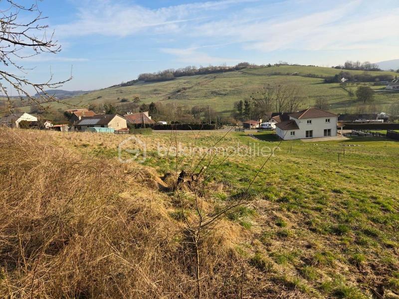 Terrain - 2 925 m²
