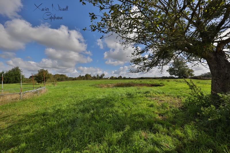 Maison - 281 m² - 8 pièces