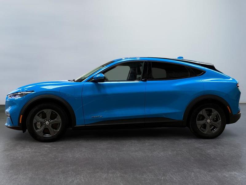 Ford Mustang Mach-E Standard Range 76 kWh 269 ch